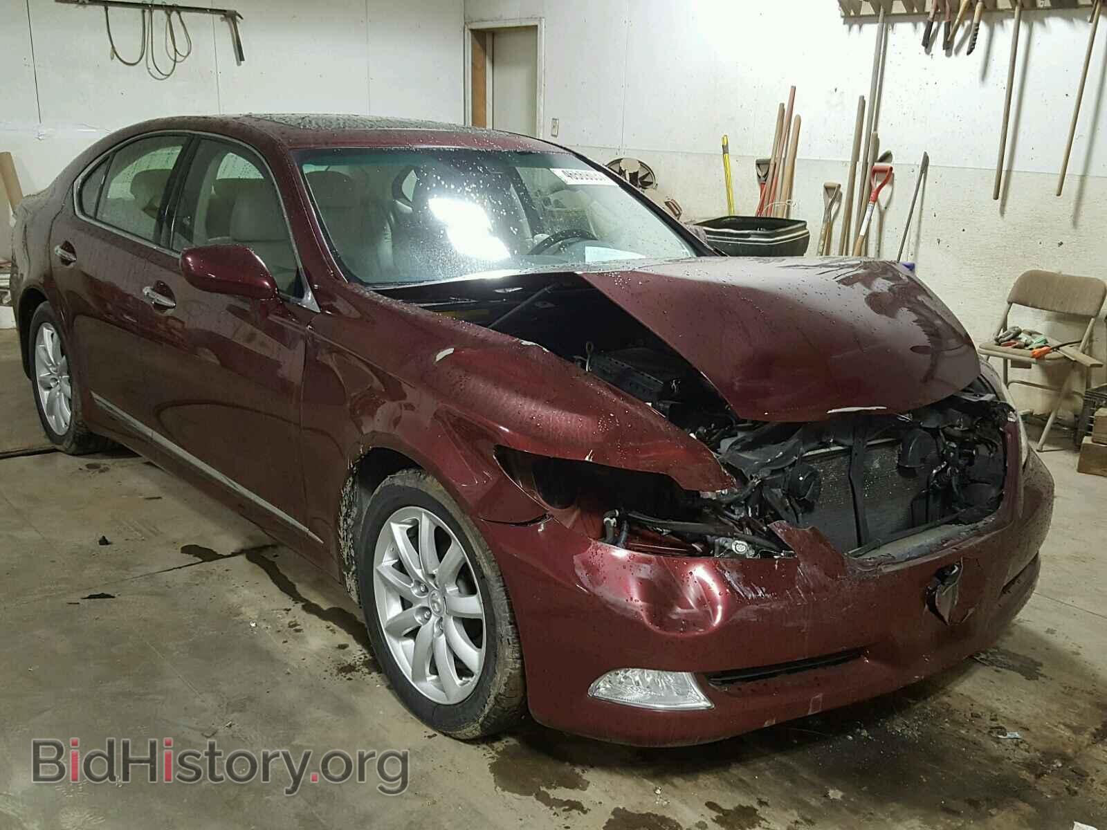 Фотография JTHCL46F595003711 - LEXUS LS460 2009