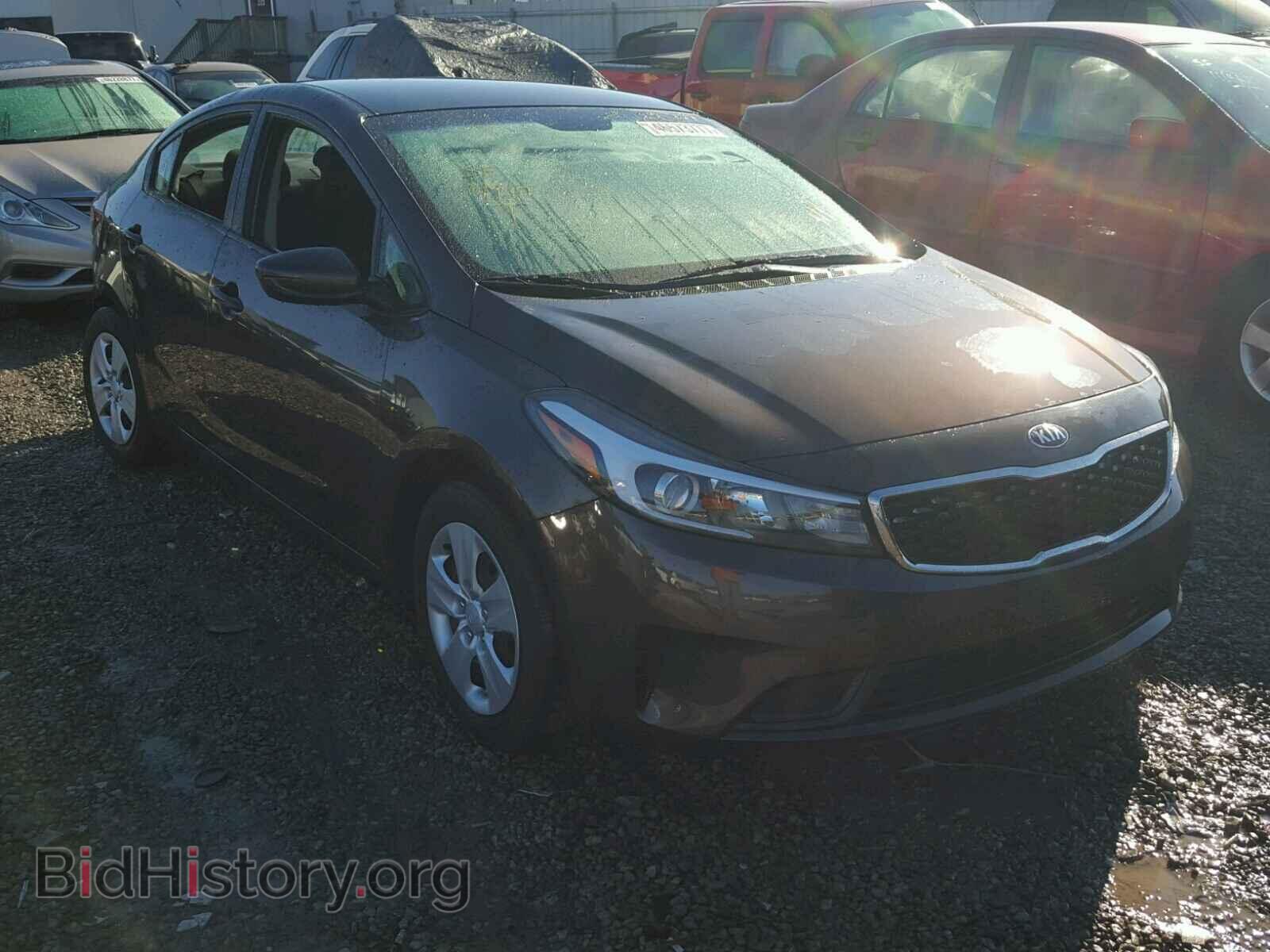 Photo 3KPFK4A77HE045544 - KIA FORTE 2017