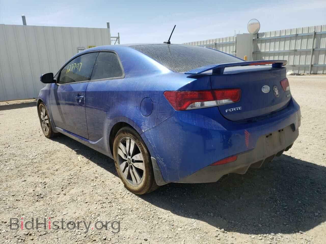 2013 KIA FORTE - VIN: KNAFU6A23D5697204 - Фото 3