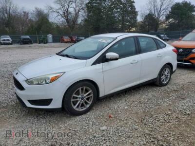 2015 Ford FOCUS SE, white — VIN 1FADP3F20FL342942, Copart