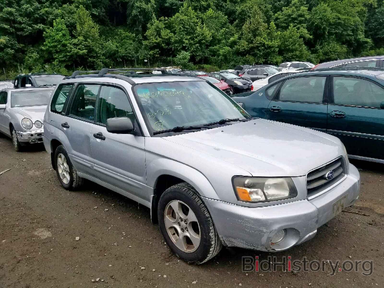 Photo JF1SG65603H761370 - SUBARU FORESTER 2003