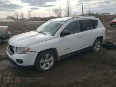 2011 Jeep COMPASS, white — VIN 1J4NF4FB6BD275205, Copart