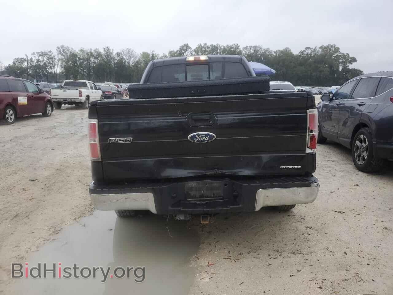 2011 FORD F-150 - VIN: 1FTFW1EF6BFB19411 - Фото 6