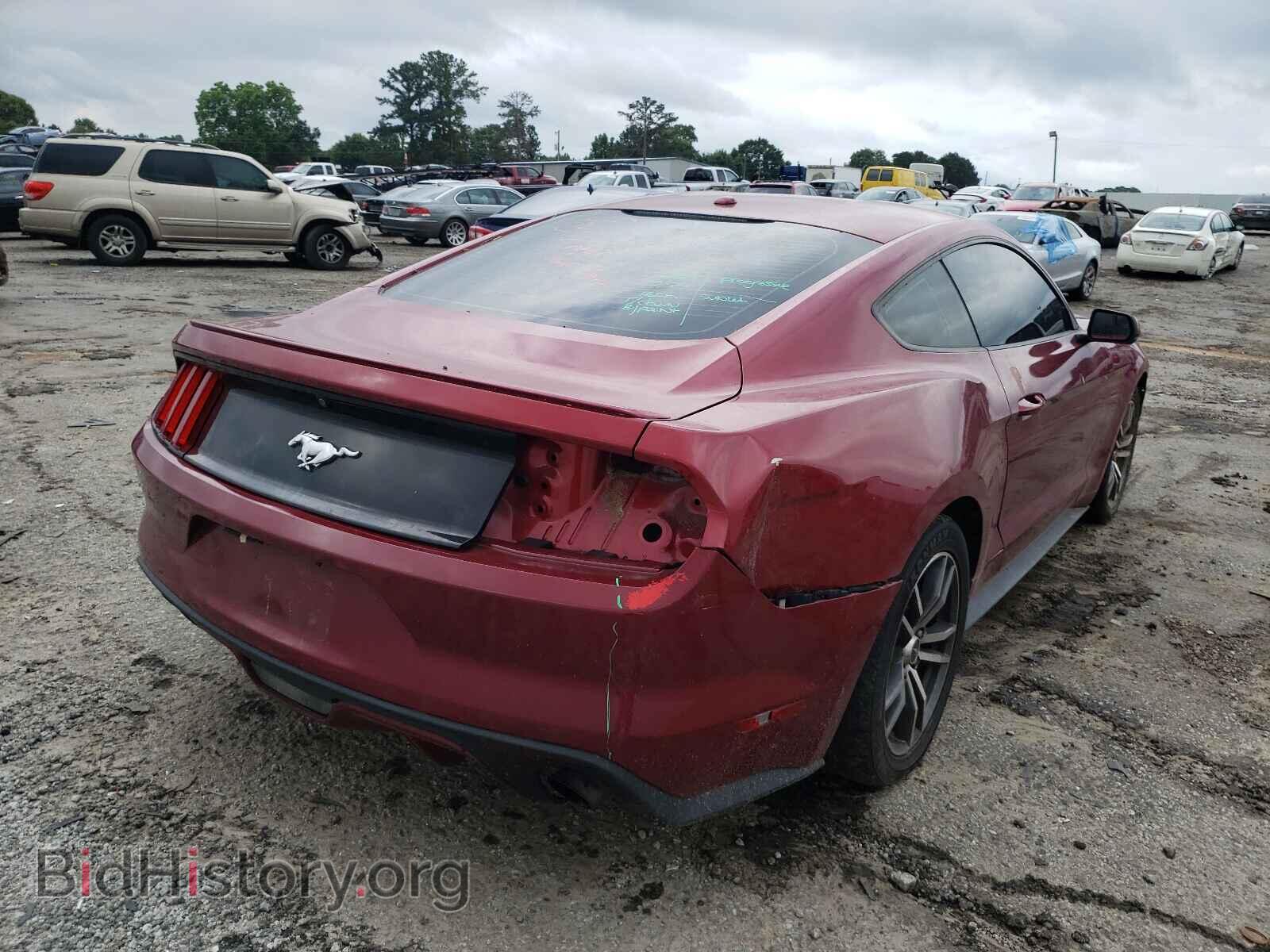 2017 FORD MUSTANG - VIN: 1FA6P8TH2H5282216 - Фото 4