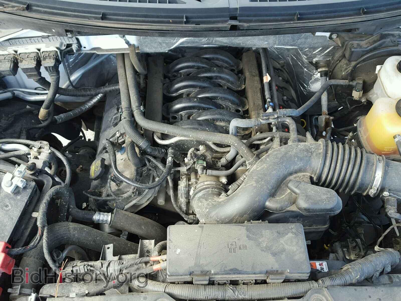 2013 FORD F150 - VIN: 1FTFX1EF1DFD47378 - Фото 7