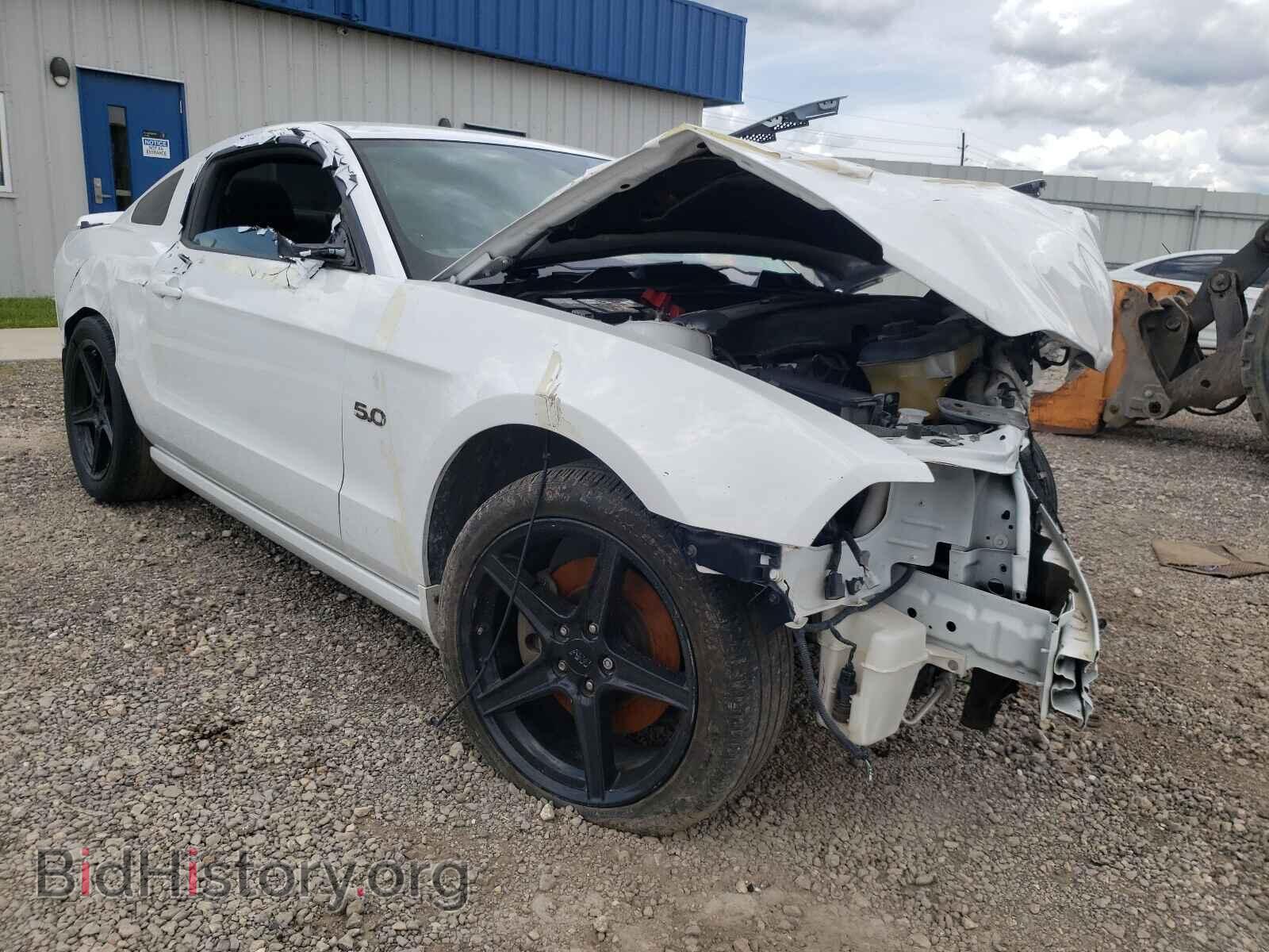Фотография 1ZVBP8CF7E5294491 - FORD MUSTANG 2014