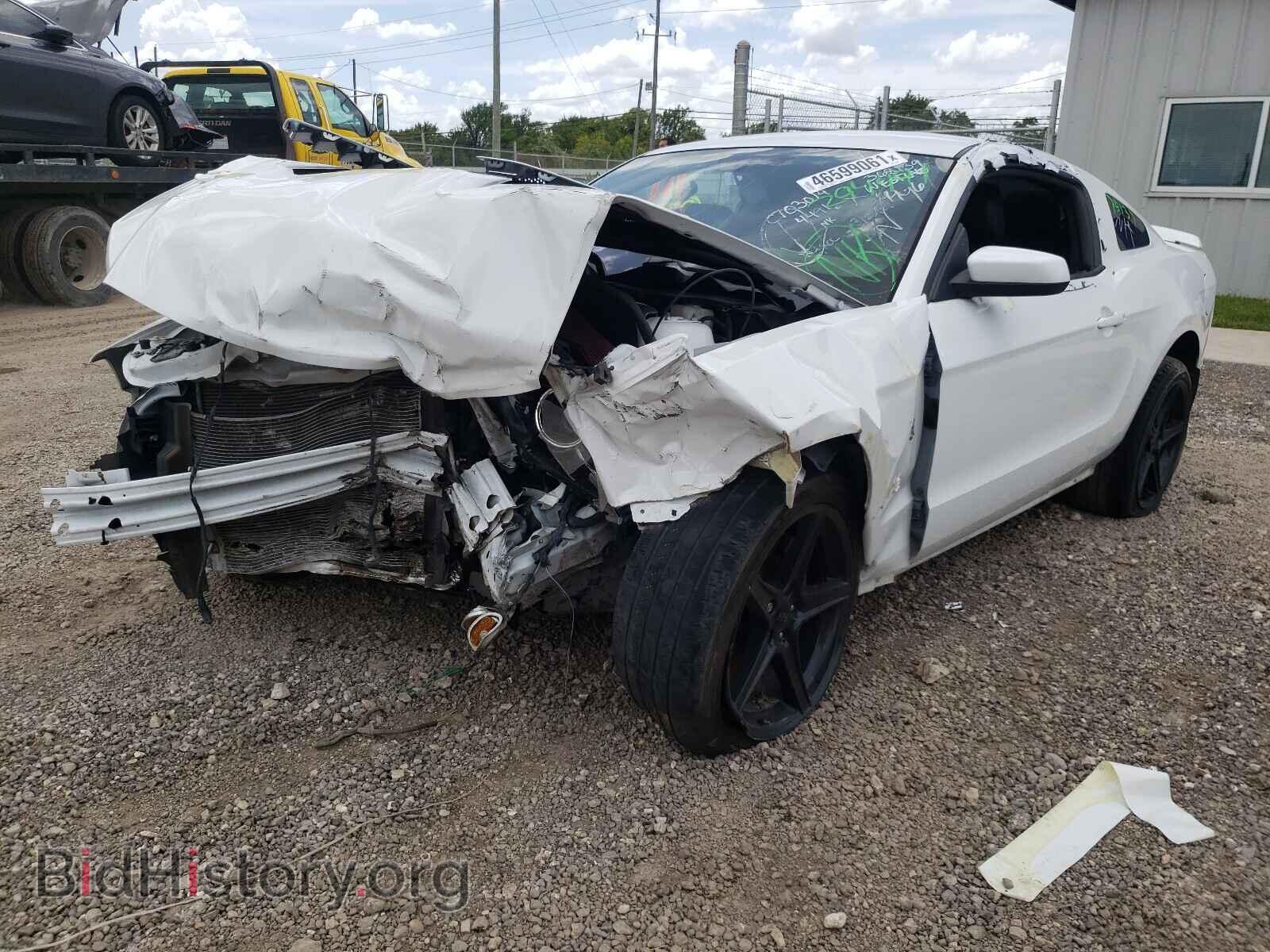 2014 FORD MUSTANG - VIN: 1ZVBP8CF7E5294491 - Фото 2