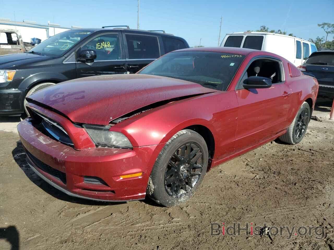 Photo 1ZVBP8AM1E5212014 - FORD MUSTANG 2014
