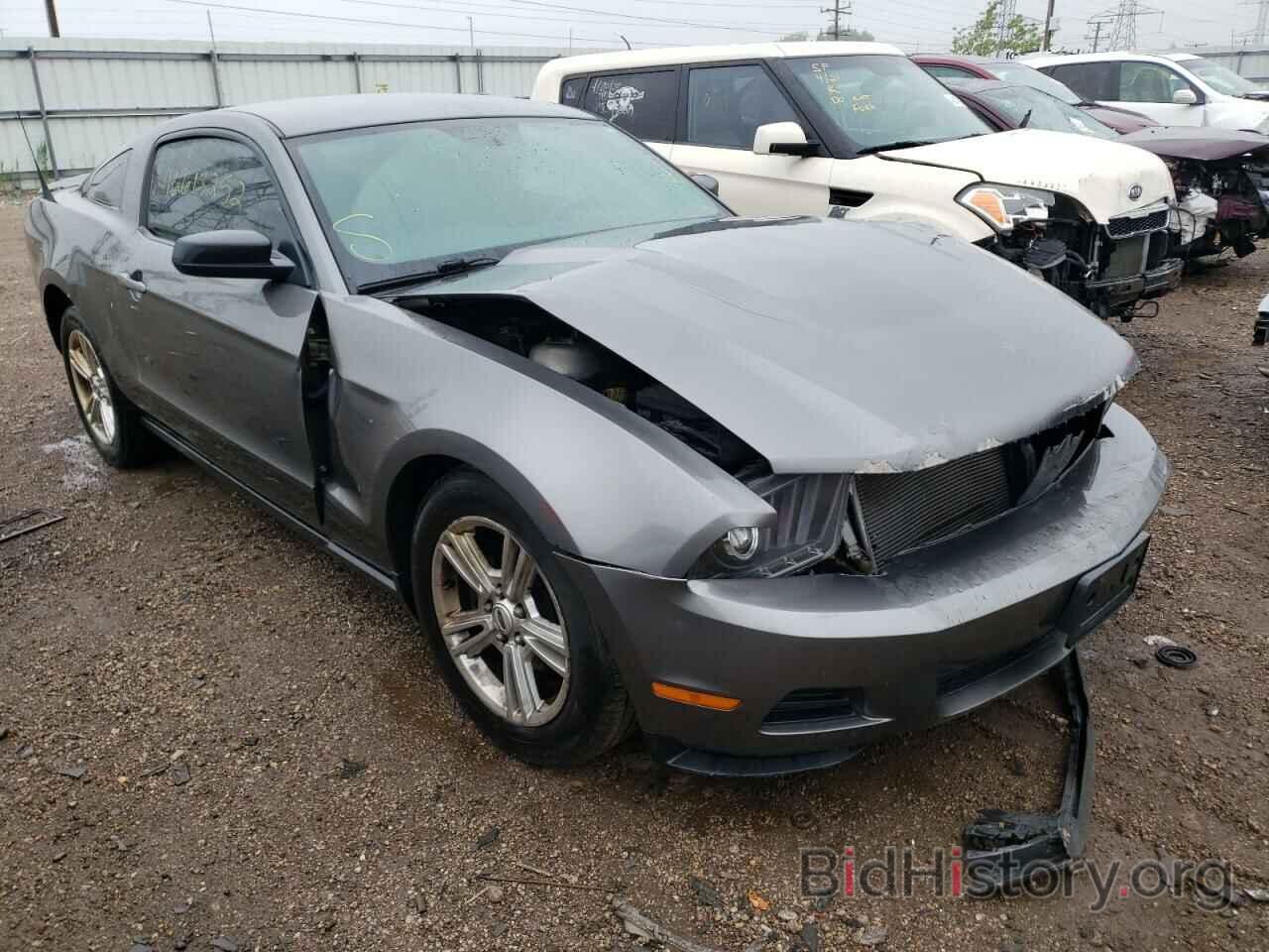 Photo 1ZVBP8AN0A5146591 - FORD MUSTANG 2010