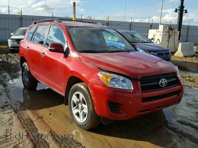 Фотография 2T3BF4DV3BW128574 - TOYOTA RAV4 2011