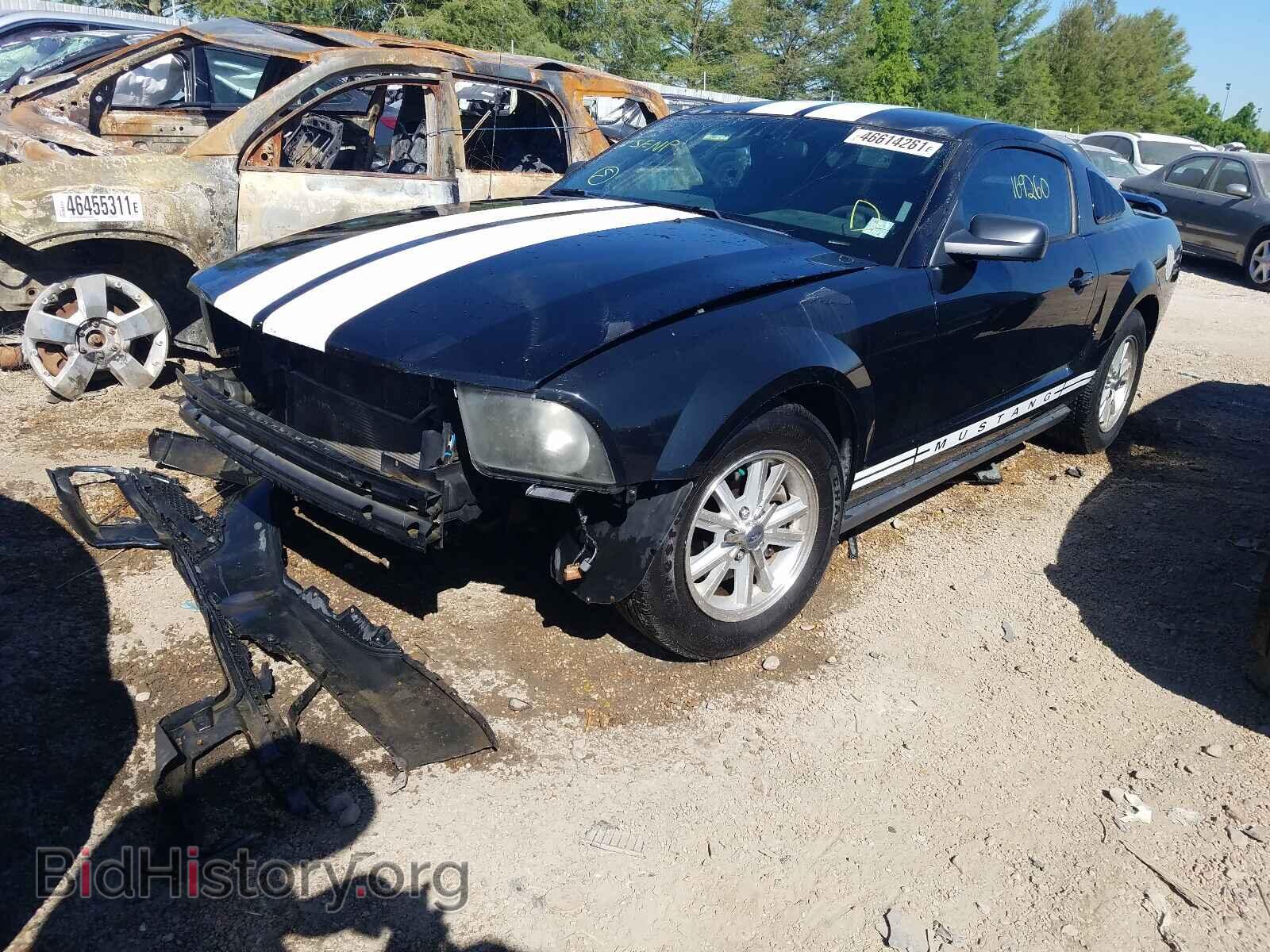 2006 FORD MUSTANG - VIN: 1ZVFT80N565226989 - Фото 2