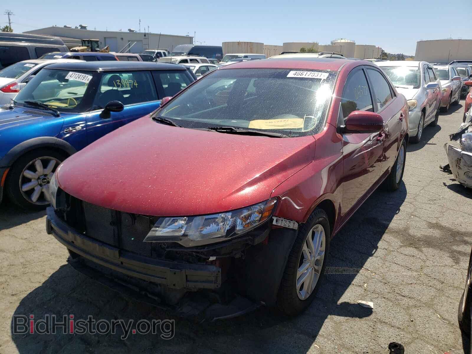 2011 KIA FORTE - VIN: KNAFU4A21B5361956 - Фото 2