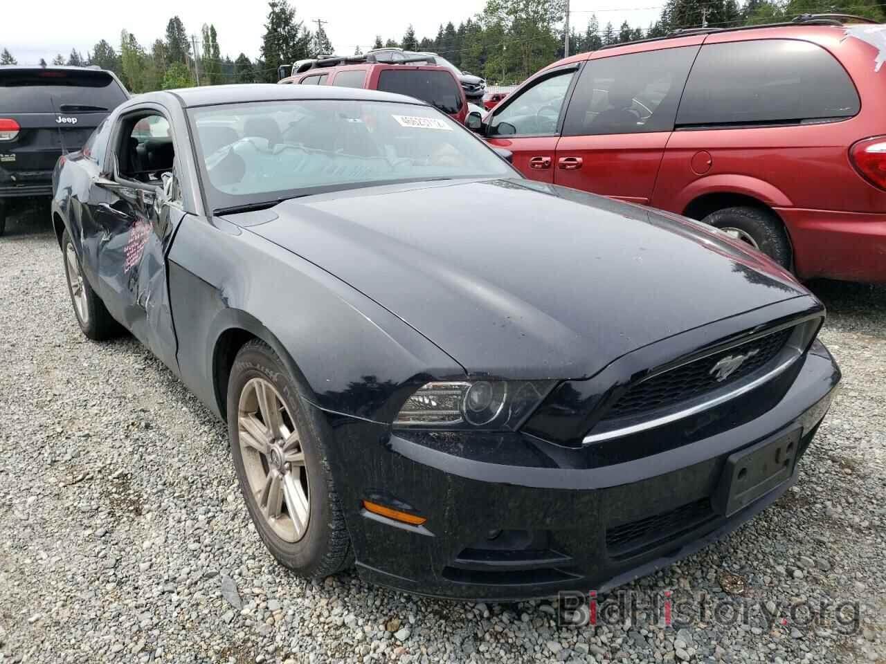 Photo 1ZVBP8AM9E5333678 - FORD MUSTANG 2014