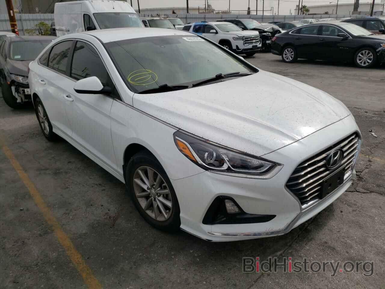 Photo 5NPE24AF1KH807434 - HYUNDAI SONATA 2019