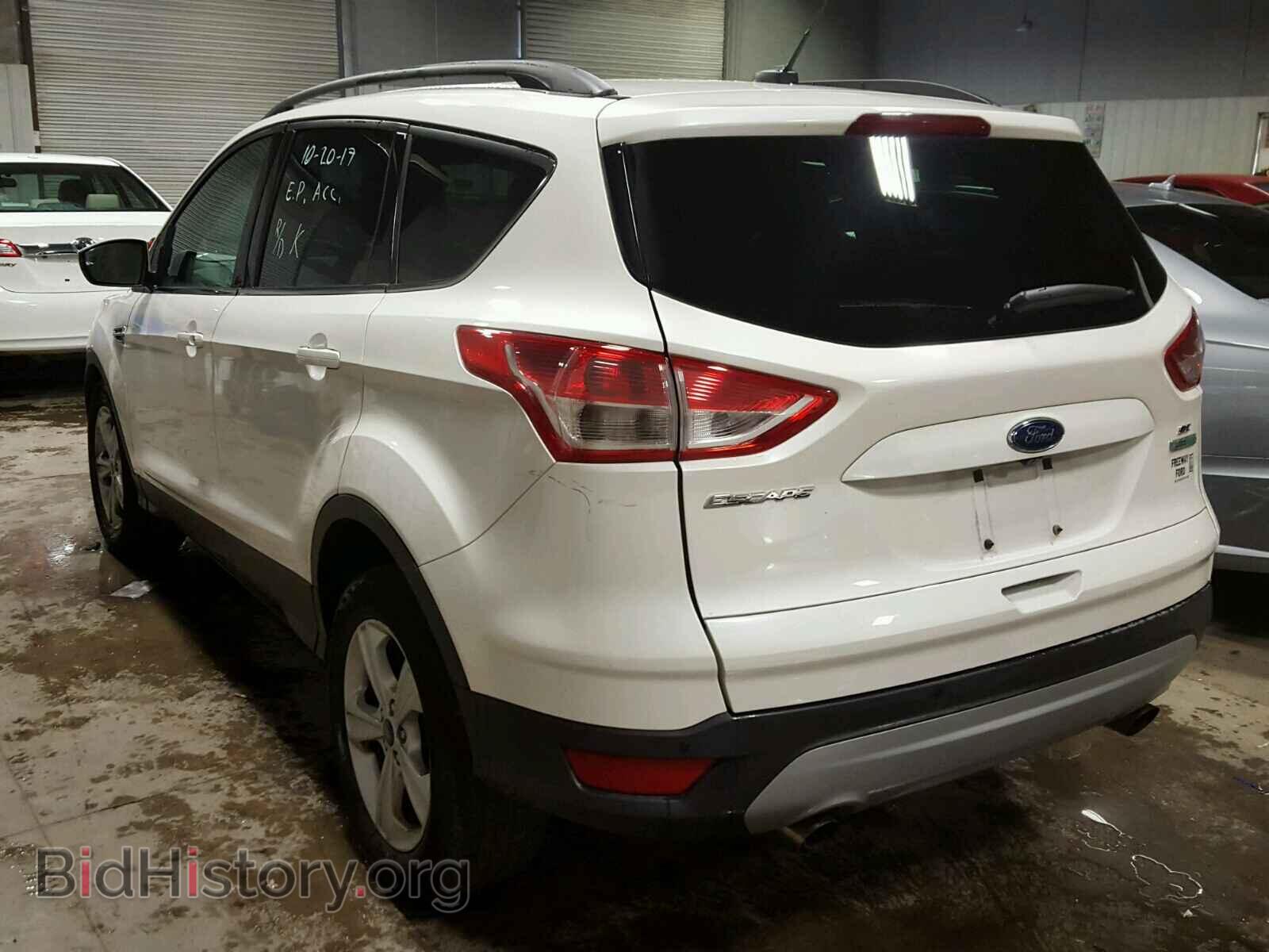 2014 FORD ESCAPE - VIN: 1FMCU0GX7EUA22187 - Фото 3