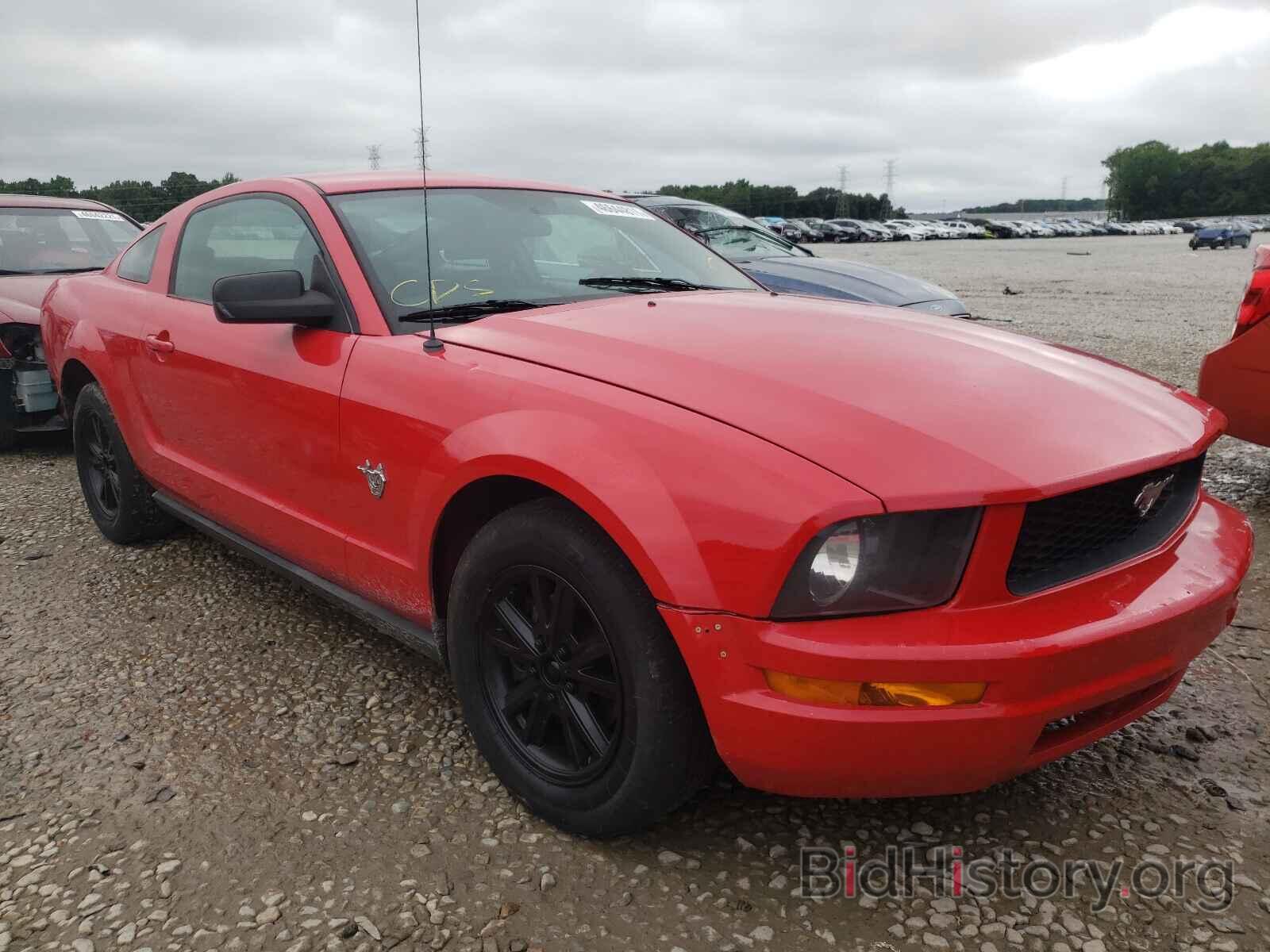 Photo 1ZVHT80N895116029 - FORD MUSTANG 2009