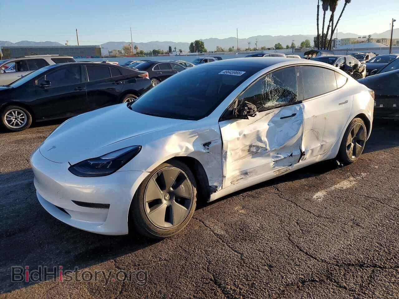 Photo 5YJ3E1EA7PF659341 - TESLA MODEL 3 2023