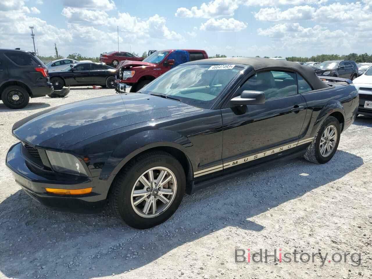 Photo 1ZVHT84N465107933 - FORD MUSTANG 2006