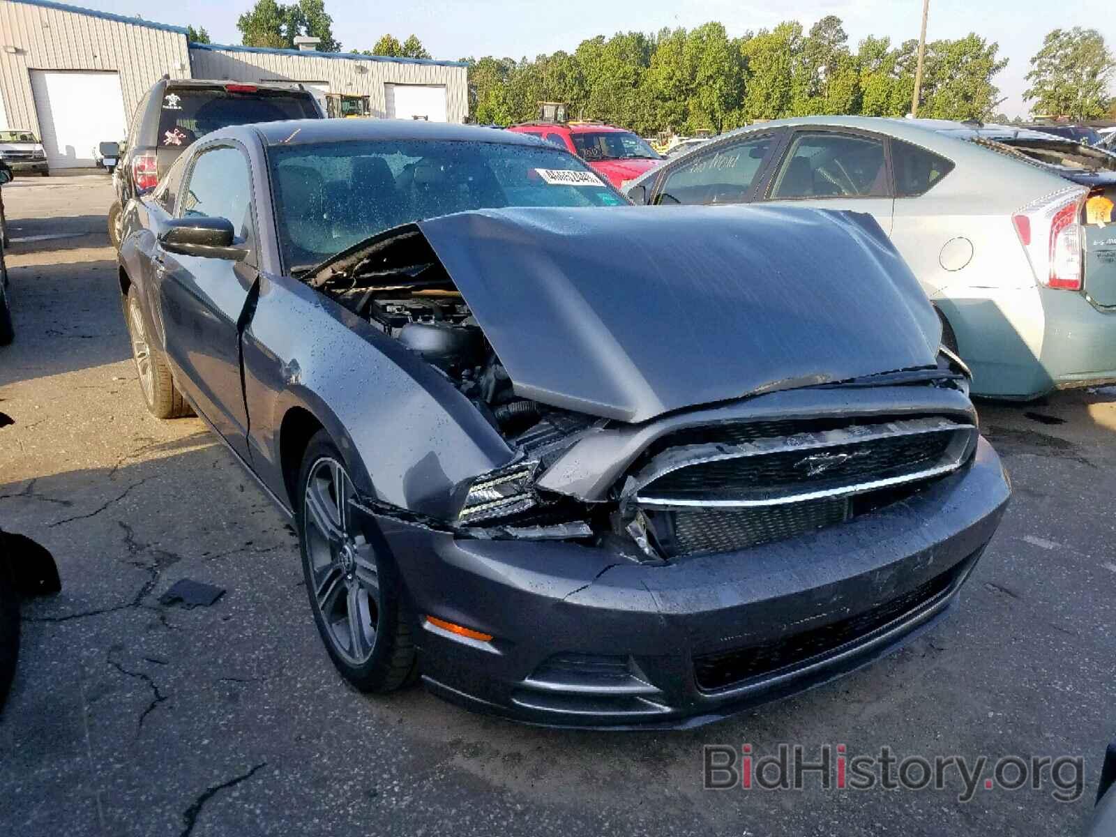 Photo 1ZVBP8AM5D5273574 - FORD MUSTANG 2013