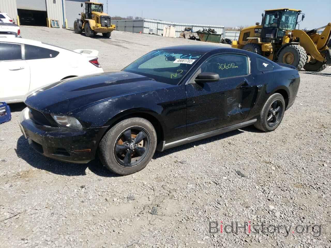 Photo 1ZVBP8AN5A5117877 - FORD MUSTANG 2010