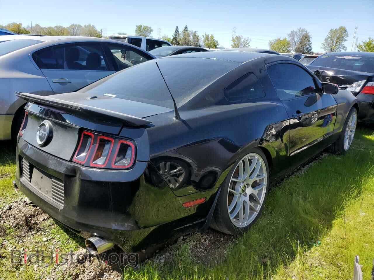 2013 FORD MUSTANG - VIN: 1ZVBP8CF7D5259366 - Фото 3