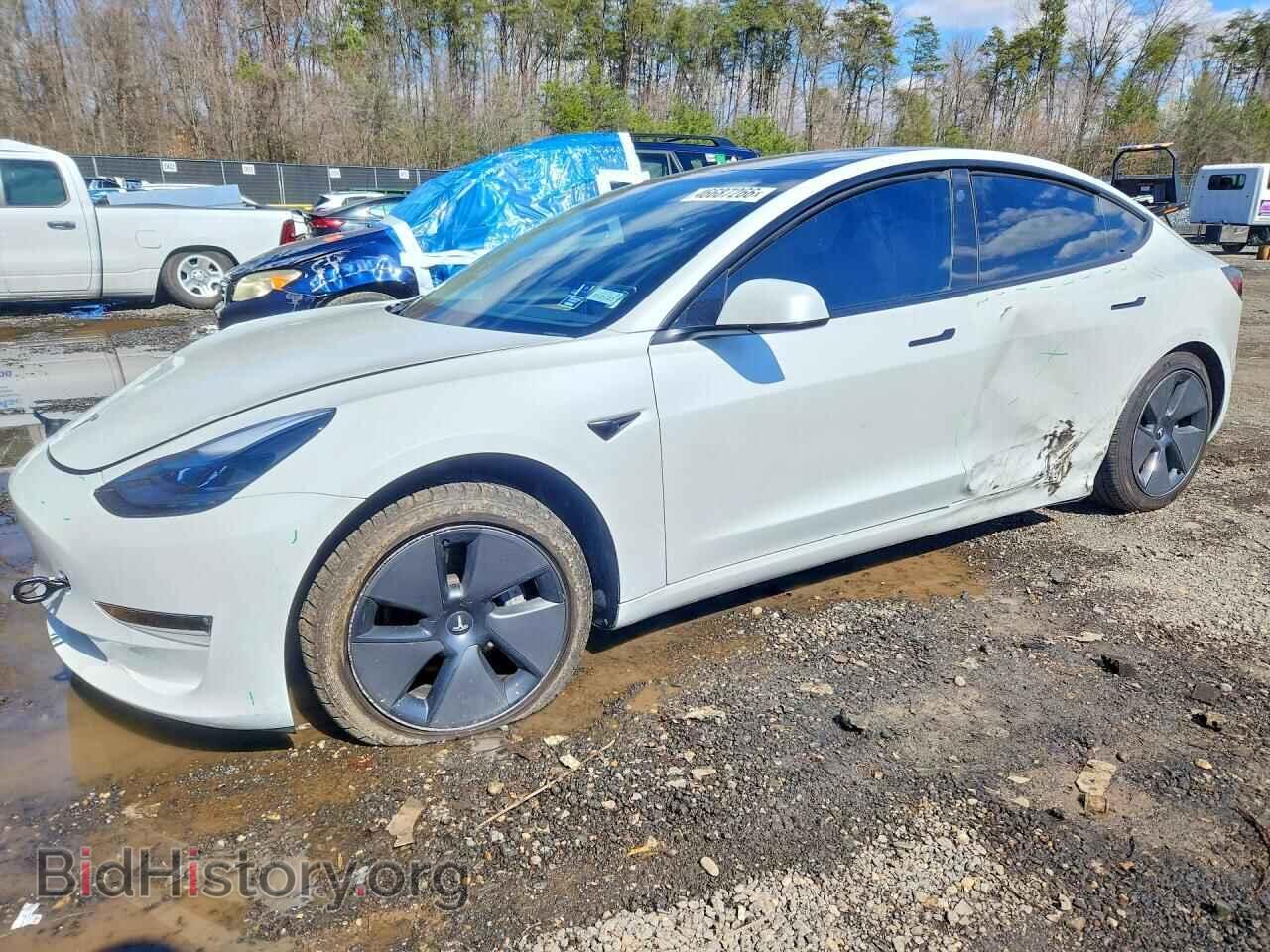 Photo 5YJ3E1EB8MF060954 - TESLA MODEL 3 2021
