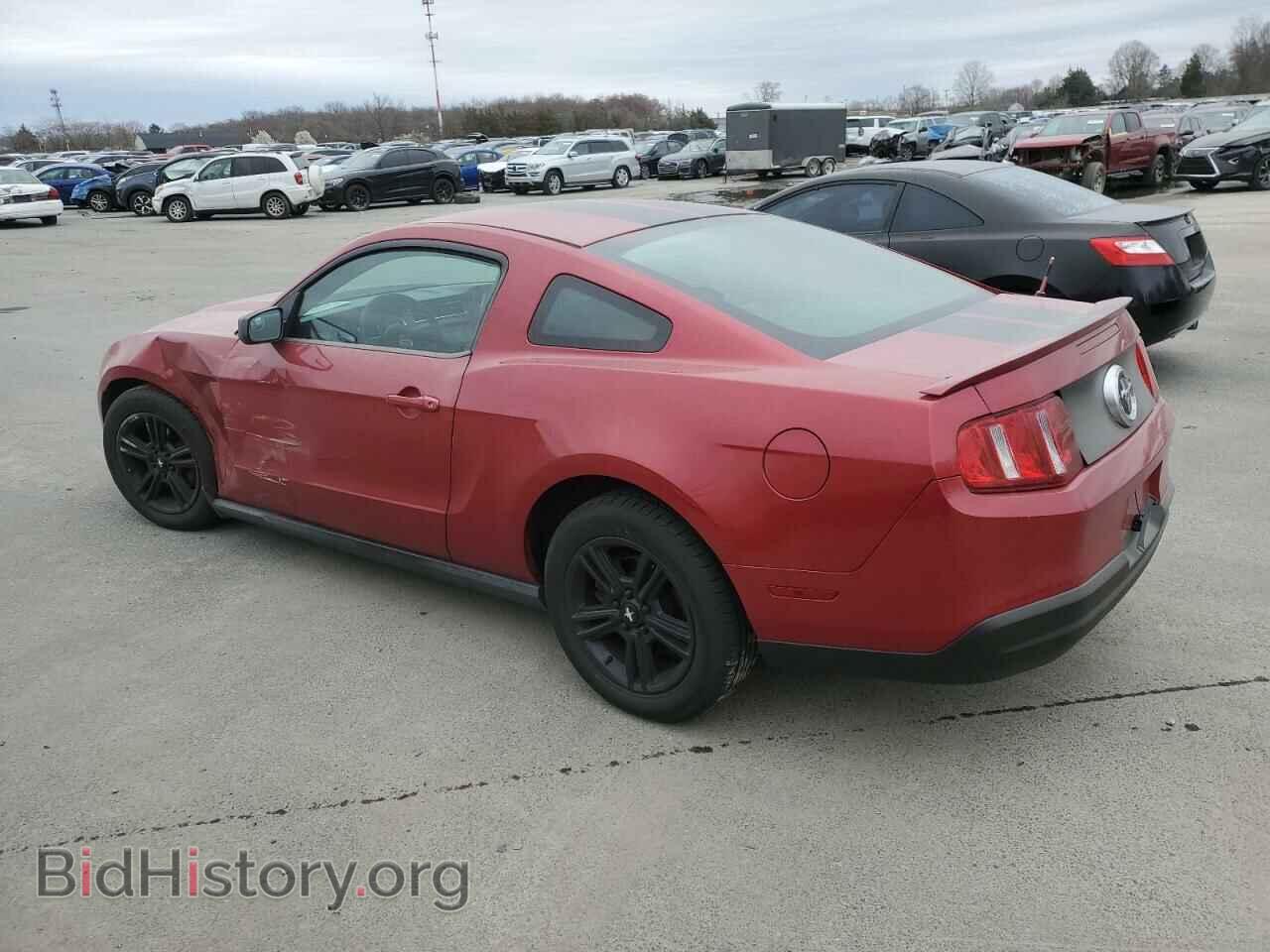 2010 FORD ALL Models - VIN: 1ZVBP8AN5A5146621 - Photo 2