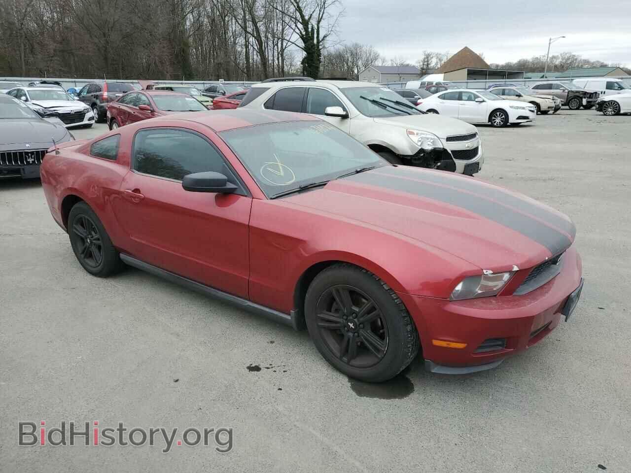 2010 FORD ALL Models - VIN: 1ZVBP8AN5A5146621 - Photo 4