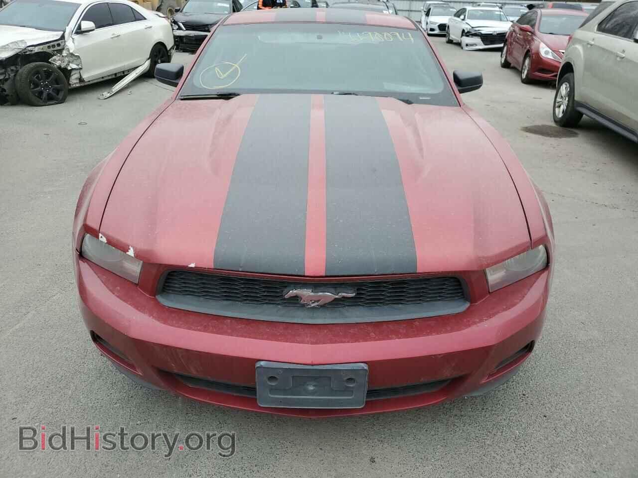 2010 FORD ALL Models - VIN: 1ZVBP8AN5A5146621 - Photo 5