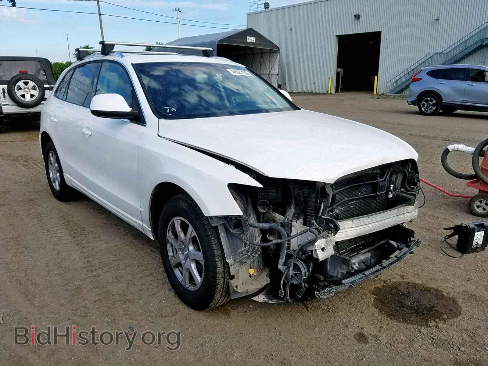 Фотография WA1LKDFP2AA020081 - AUDI Q5 2010