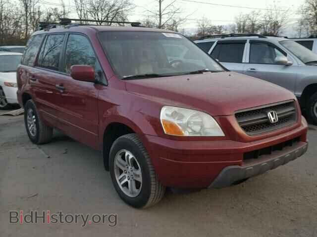 Photo 5FNYF18525B049202 - HONDA PILOT 2005