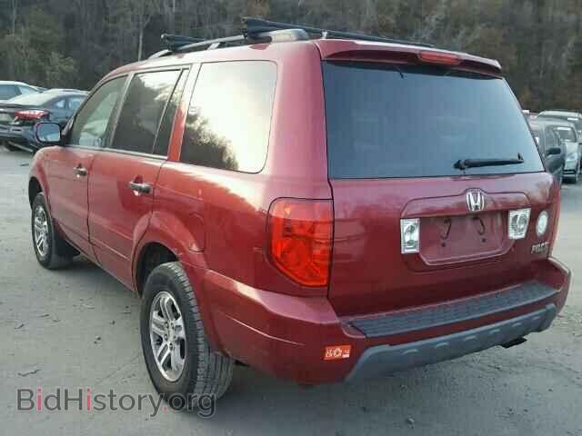 2005 HONDA PILOT - VIN: 5FNYF18525B049202 - Фото 3