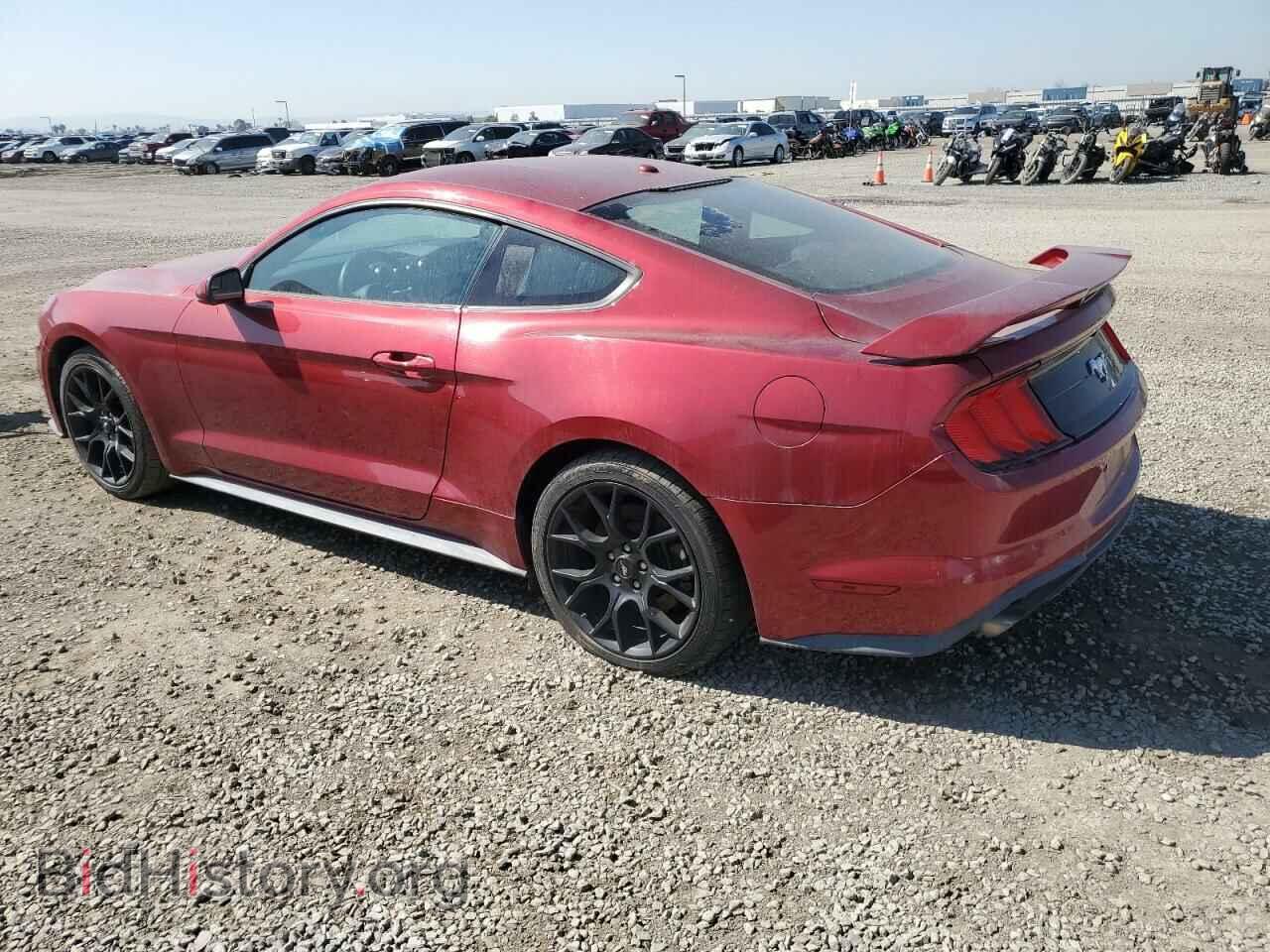 2019 FORD ALL Models - VIN: 1FA6P8THXK5130823 - Фото 2