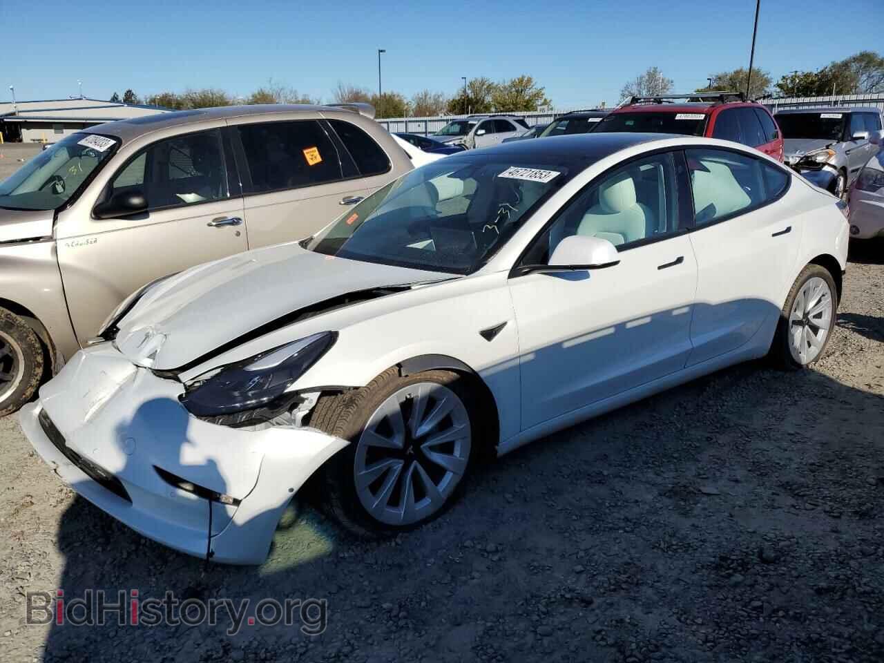 Photo 5YJ3E1EA9MF874568 - TESLA MODEL 3 2021