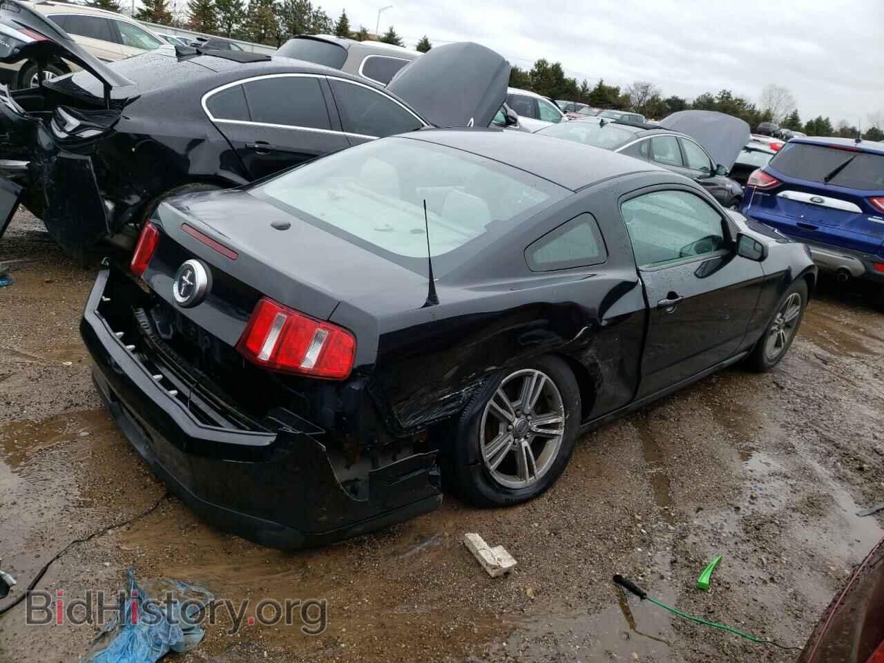 2011 FORD ALL Models - VIN: 1ZVBP8AM8B5155774 - Фото 3