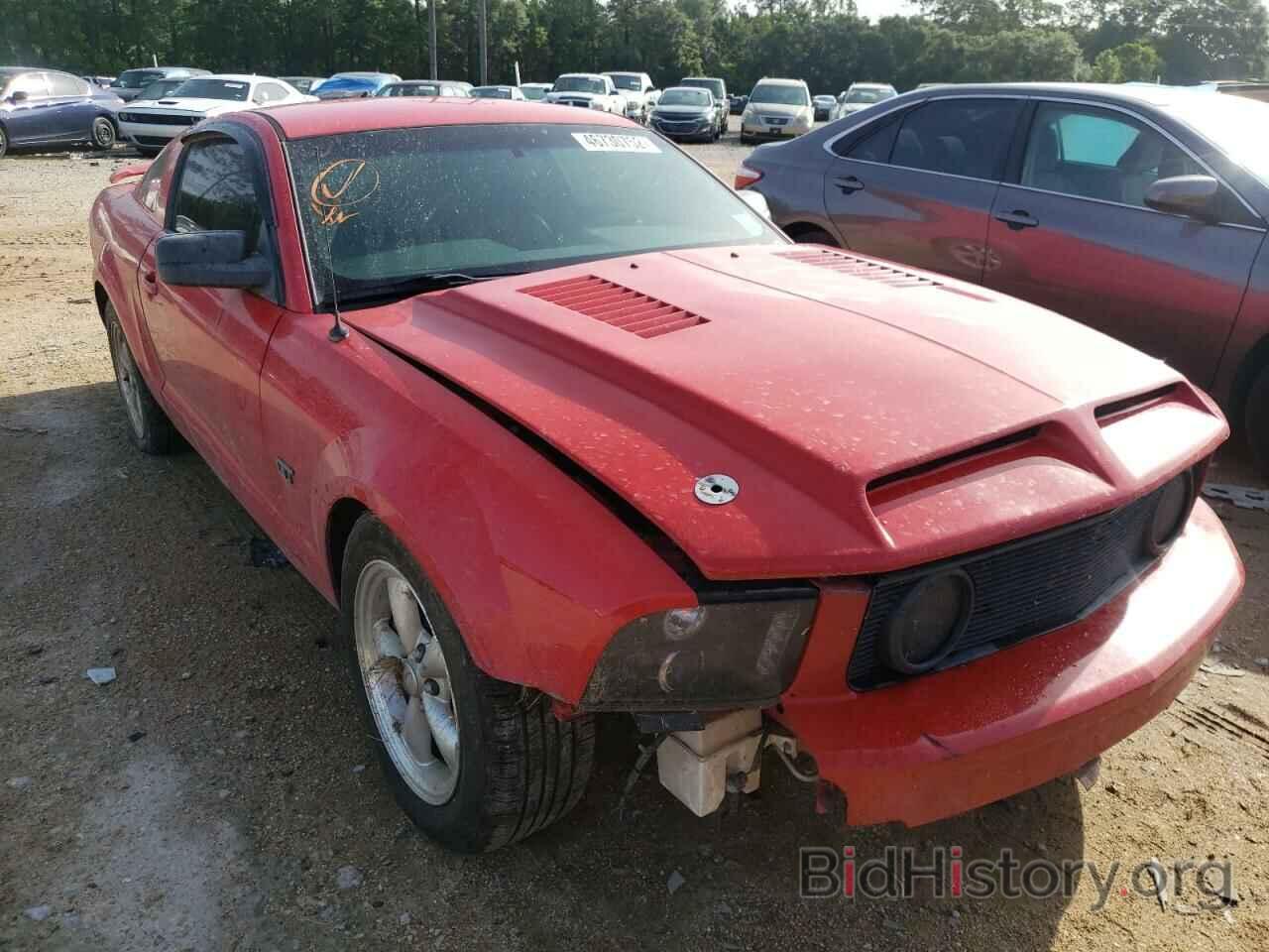 Photo 1ZVHT82H985194180 - FORD MUSTANG 2008