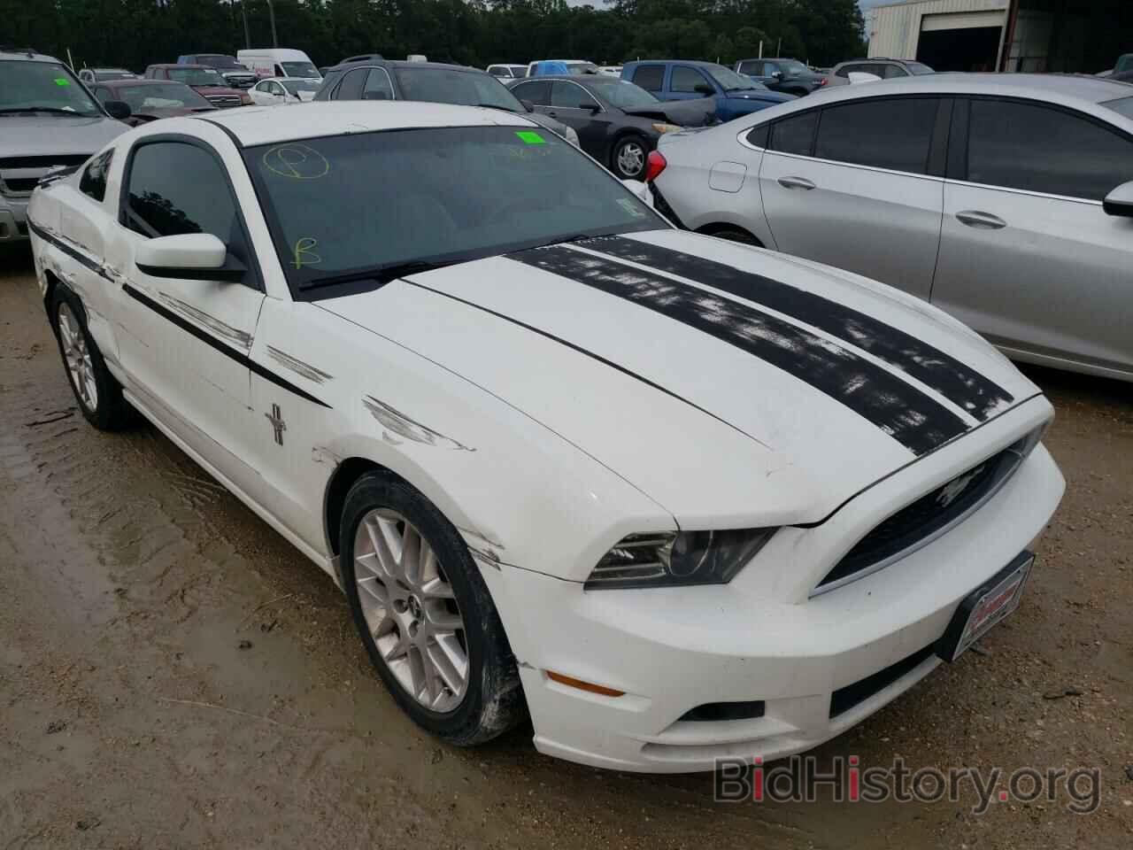 Photo 1ZVBP8AM6D5223296 - FORD MUSTANG 2013