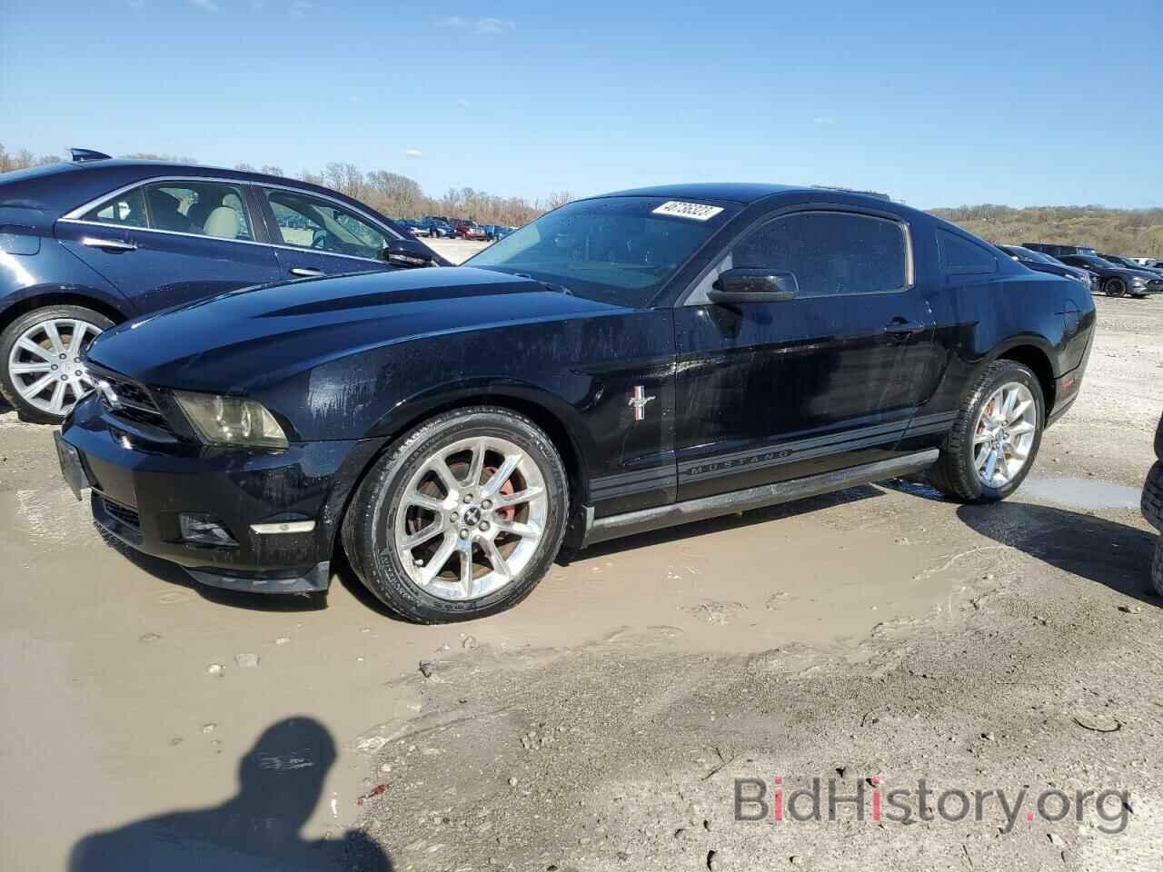 Photo 1ZVBP8AN5A5102439 - FORD MUSTANG 2010