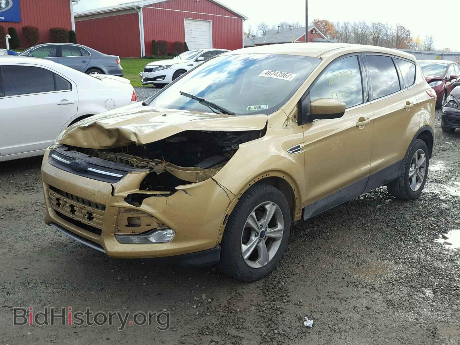 2014 FORD ESCAPE - VIN: 1FMCU0GX2EUC60531 - Фото 2