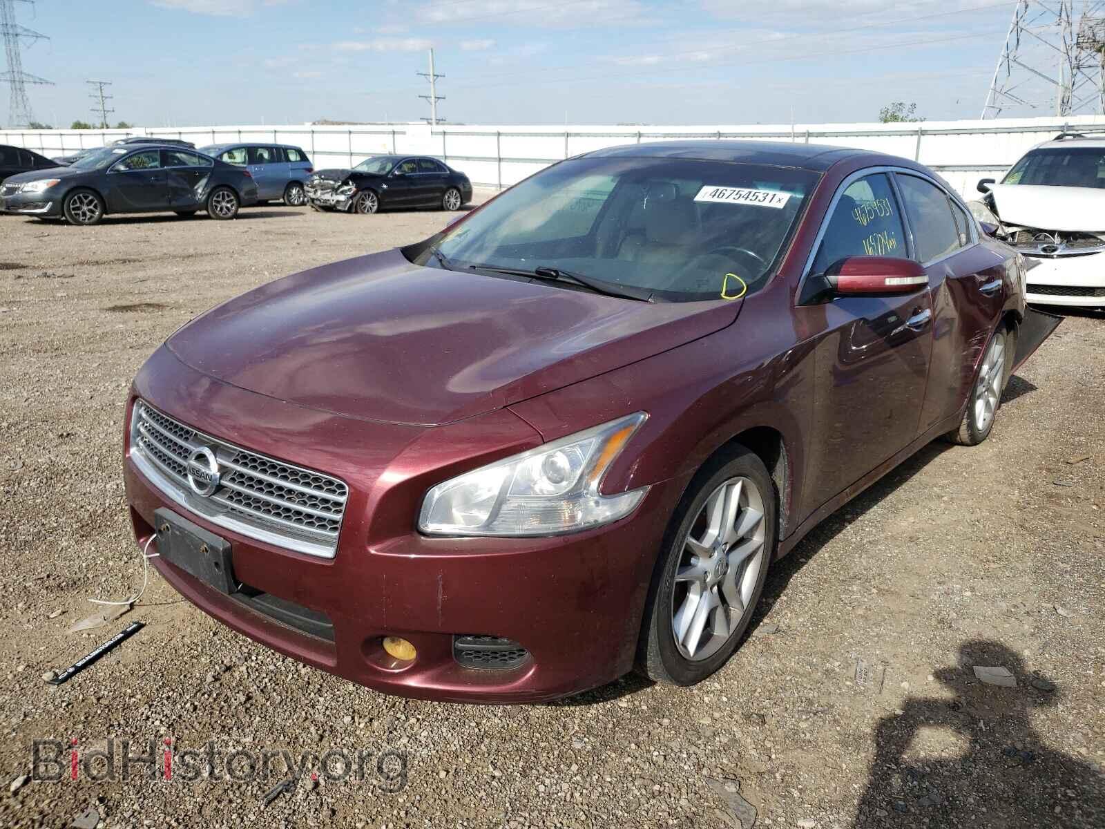 2009 NISSAN MAXIMA - VIN: 1N4AA51E19C814975 - Фото 2
