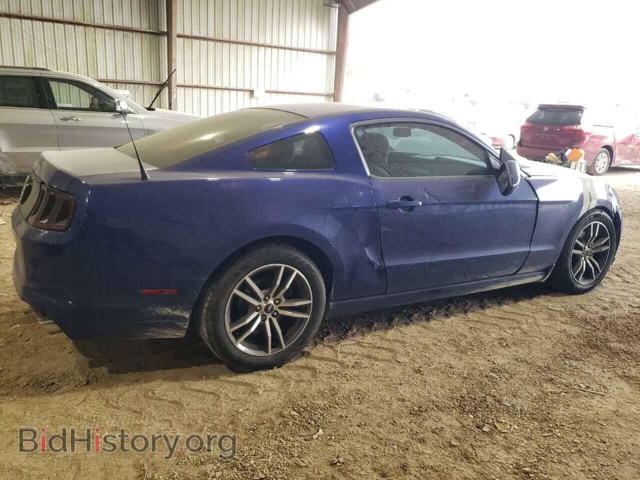 2013 FORD ALL Models - VIN: 1ZVBP8AM4D5231901 - Фото 3