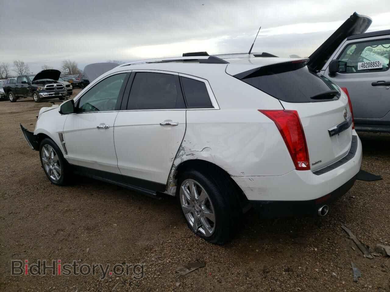 2012 CADILLAC SRX - VIN: 3GYFNBE31CS534206 - Фото 2