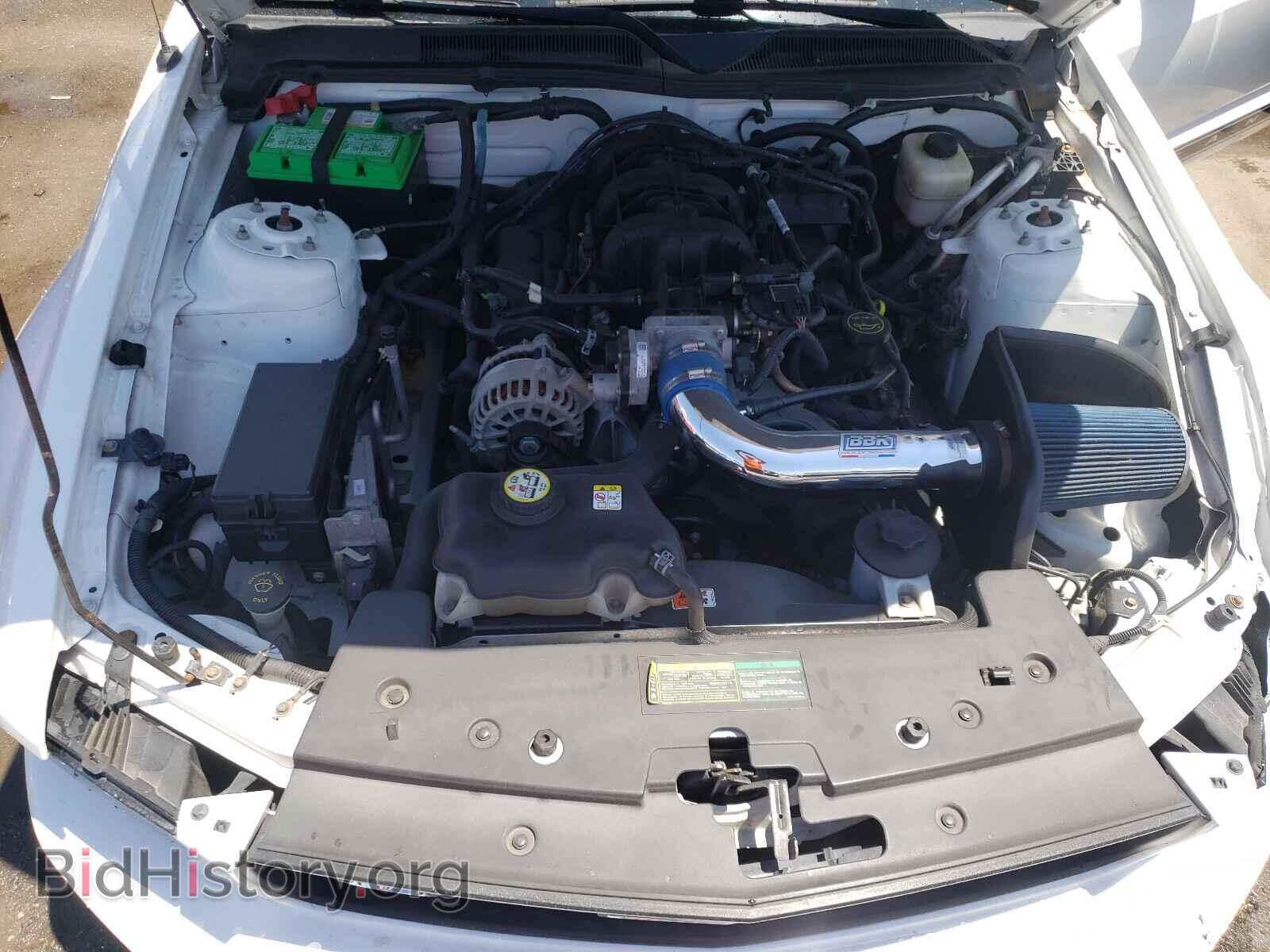 2008 FORD MUSTANG - VIN: 1ZVHT84N785203980 - Фото 7