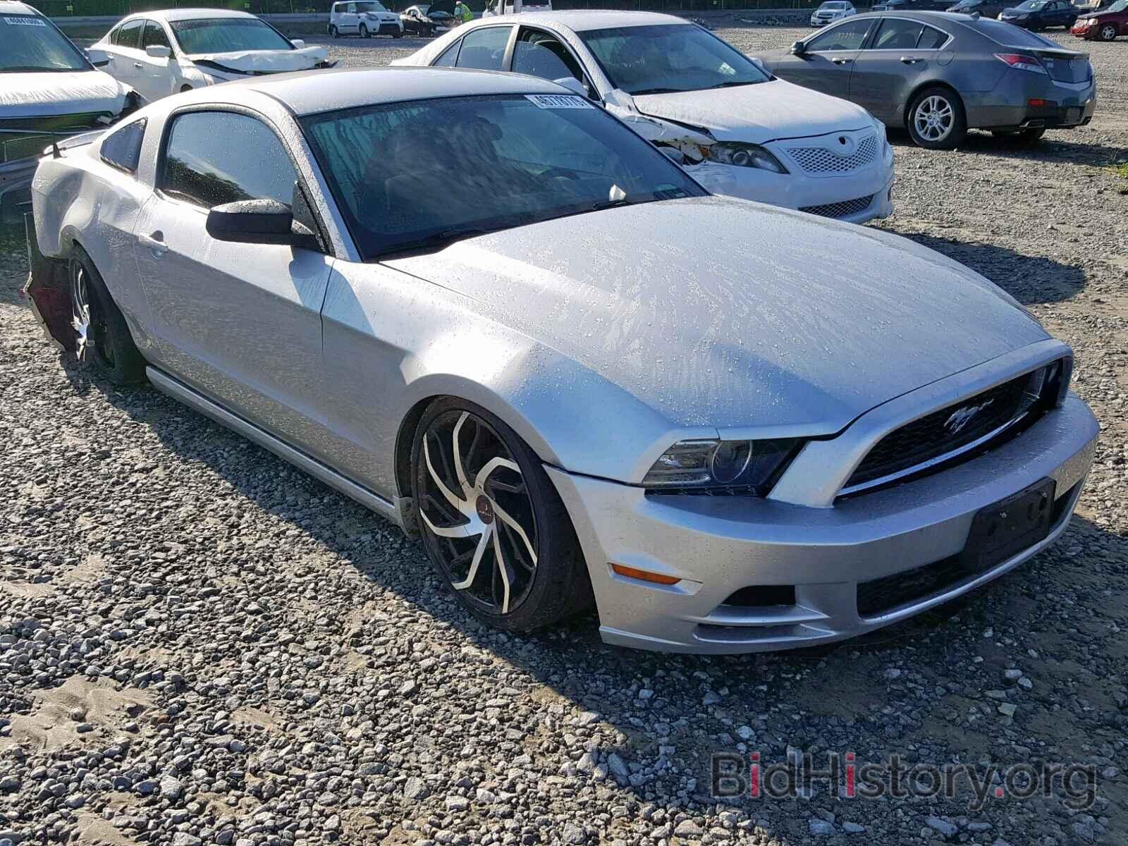 Photo 1ZVBP8AM2D5263505 - FORD MUSTANG 2013