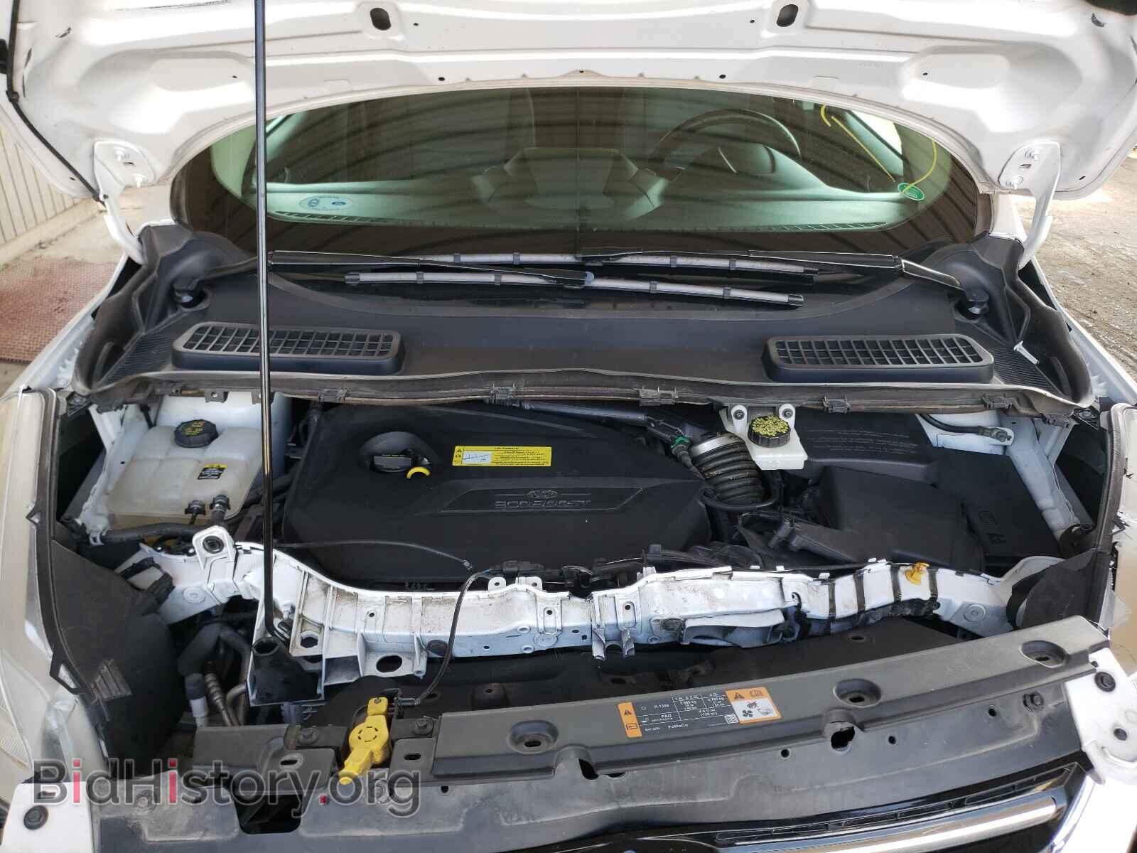 2013 FORD ESCAPE - VIN: 1FMCU0HX1DUC12323 - Фото 7