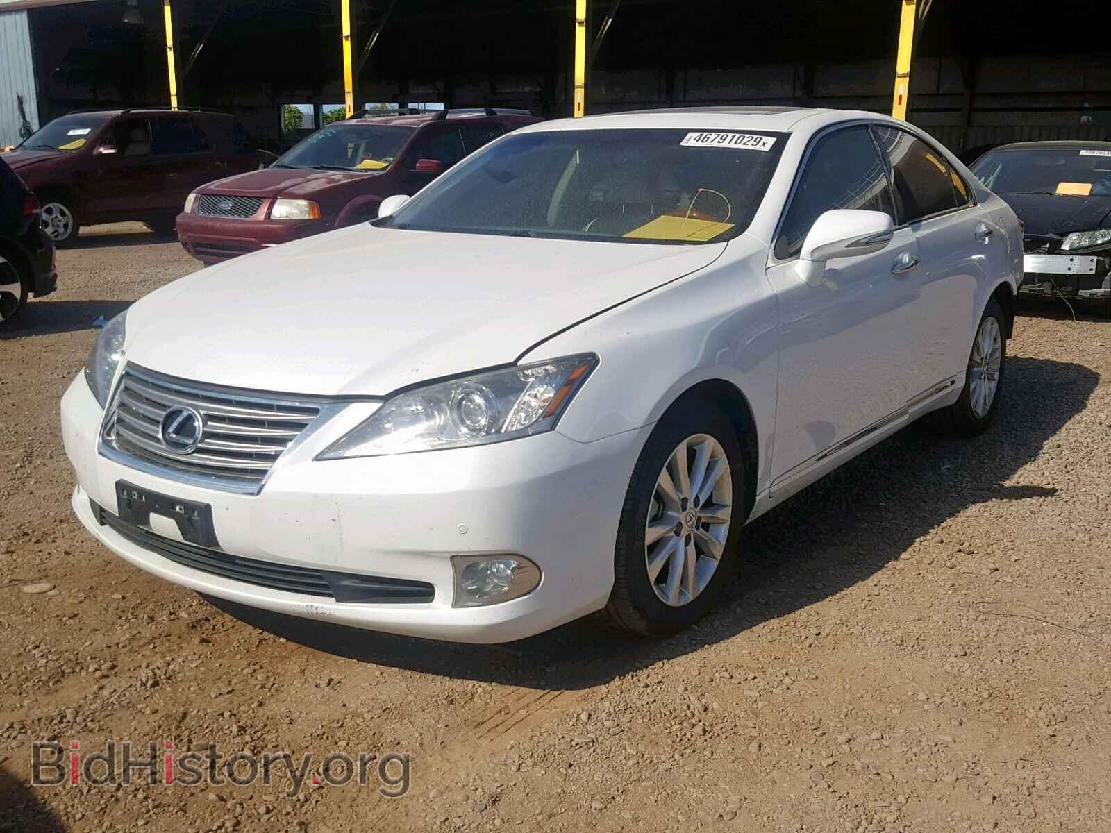 2011 LEXUS ES350 - VIN: JTHBK1EG2B2464458 - Фото 2