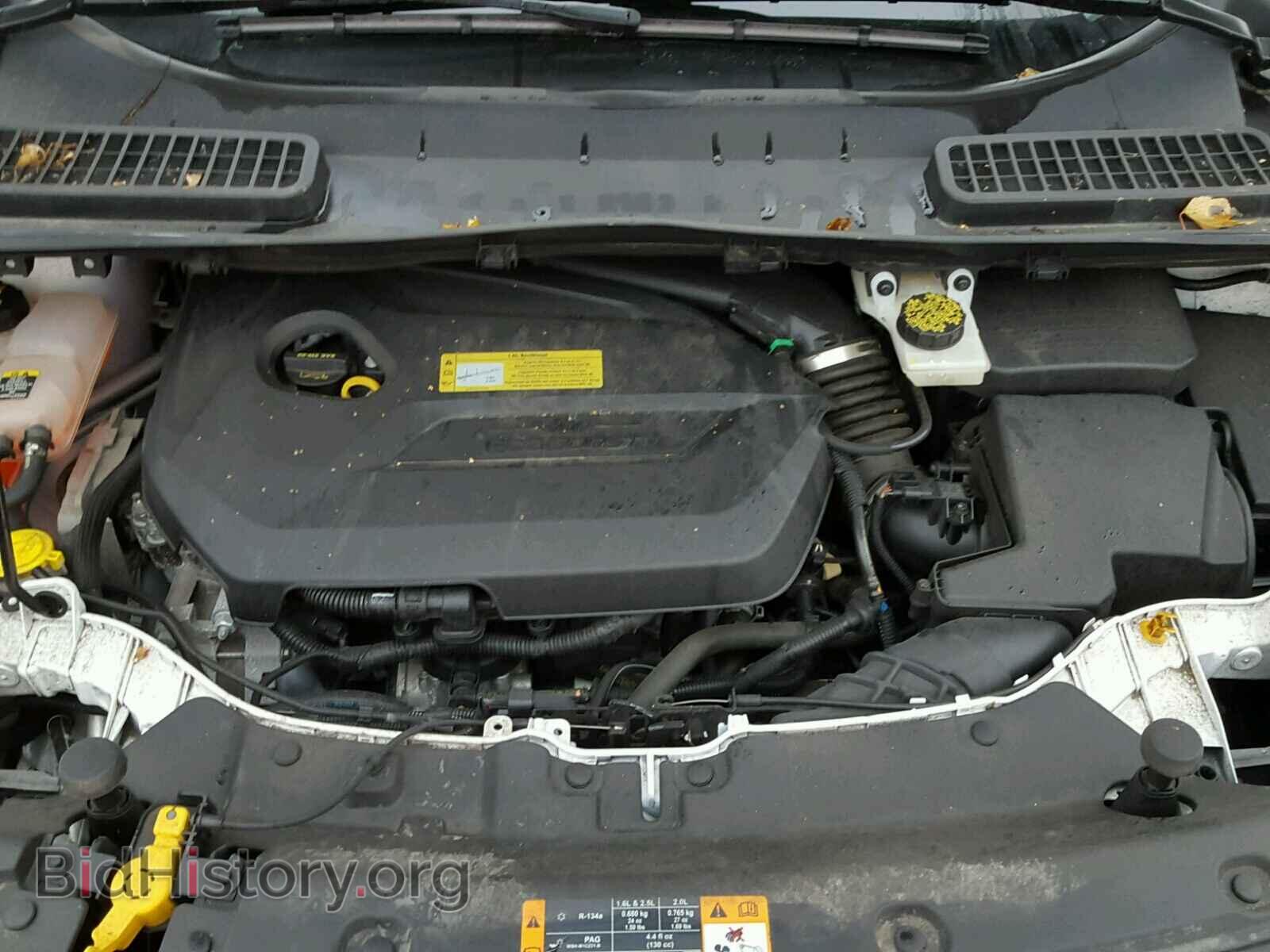 2013 FORD ESCAPE - VIN: 1FMCU0GX7DUD51955 - Фото 7
