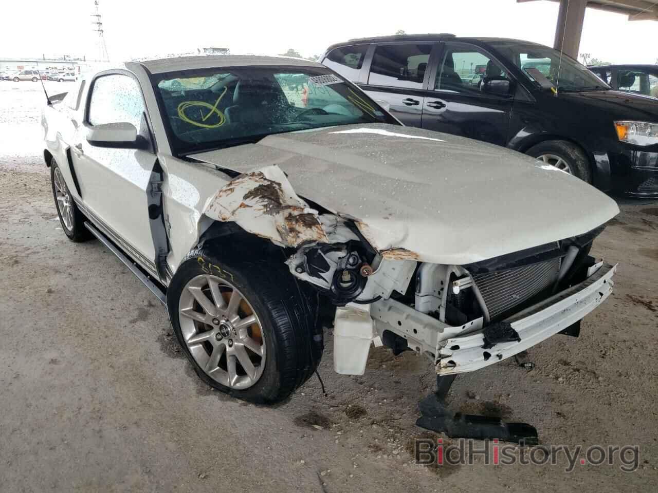 Photo 1ZVBP8AN4A5177469 - FORD MUSTANG 2010