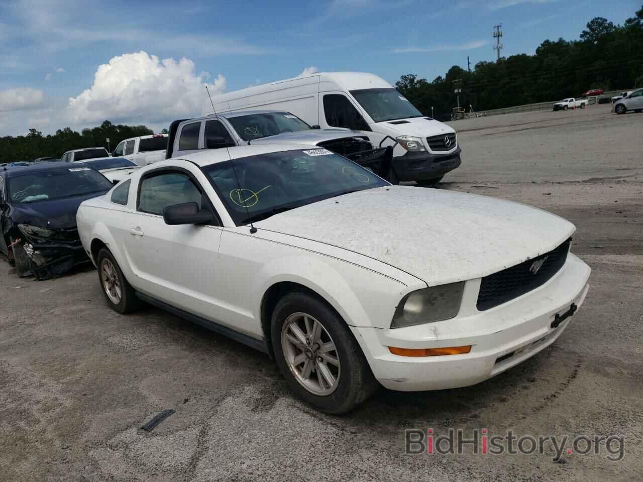 Photo 1ZVHT80N175219242 - FORD MUSTANG 2007