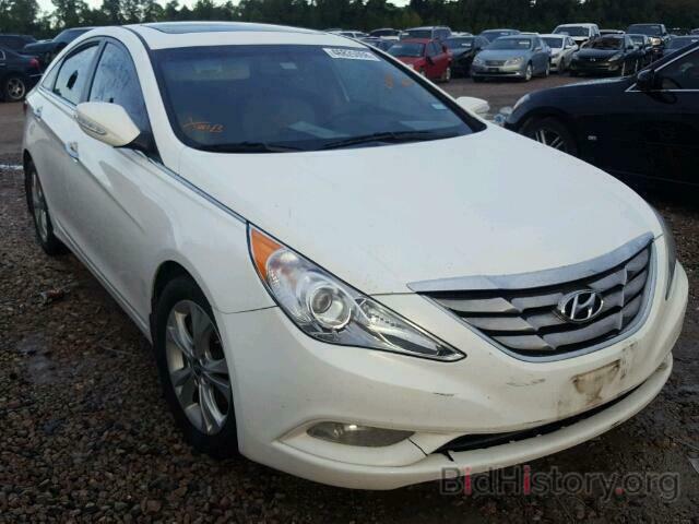 Фотография 5NPEC4ACXDH516811 - HYUNDAI SONATA 2013